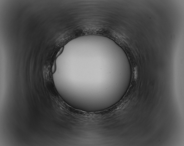 X0000086881059200705071157