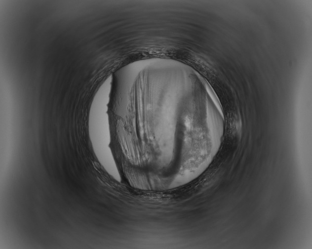 X0000086881060200705071157