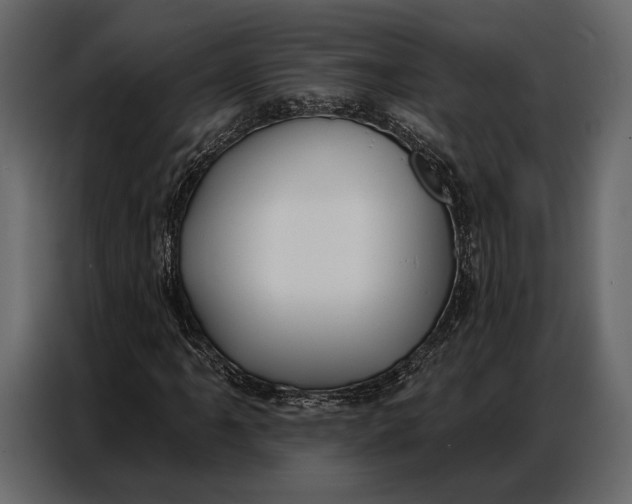 X0000086881061200705071157