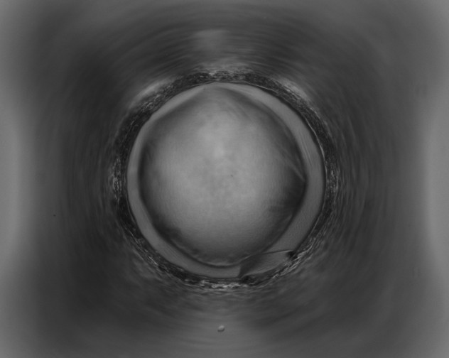 X0000086881063200705071157