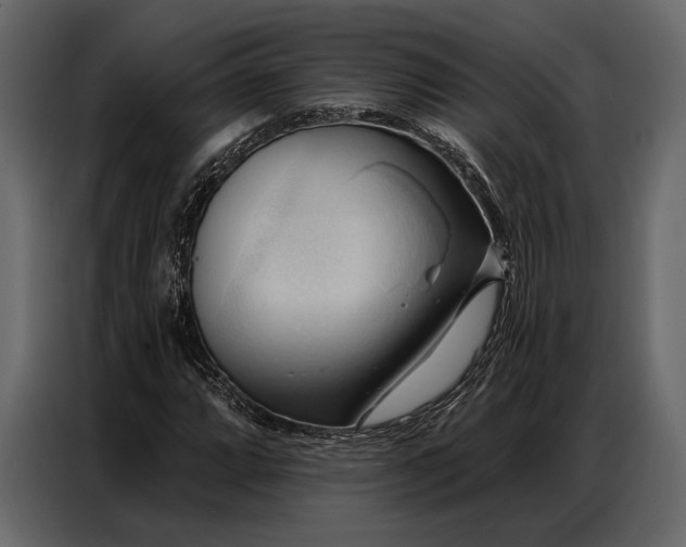 X0000086881064200705071157