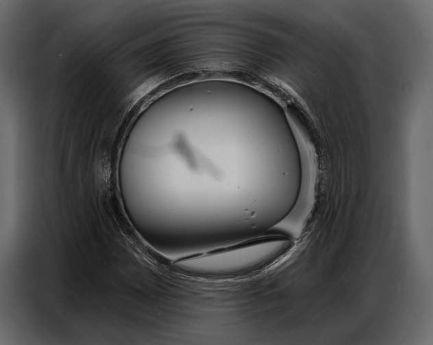 X0000086881065200705071157