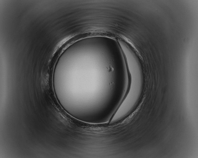 X0000086881066200705071157