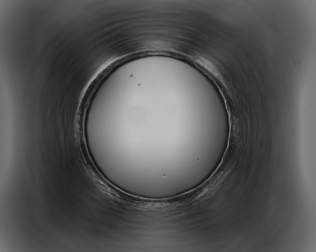 X0000086881068200705071157