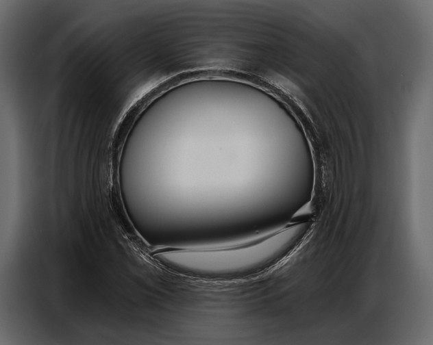 X0000086881069200705071157