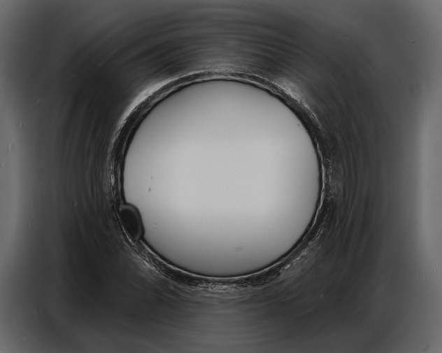 X0000086881070200705071157