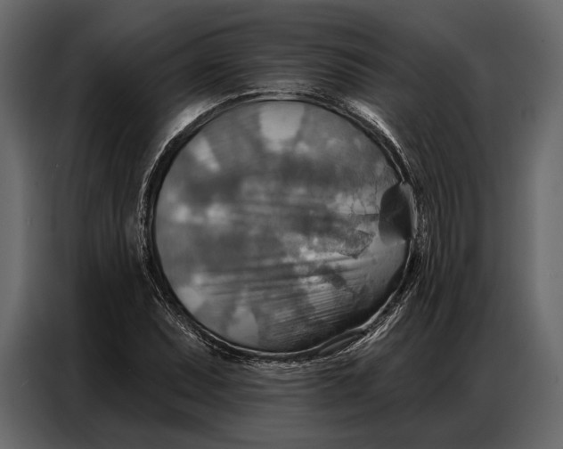 X0000086881071200705071157