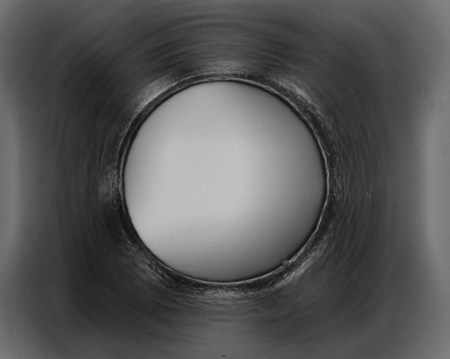 X0000086881073200705071157