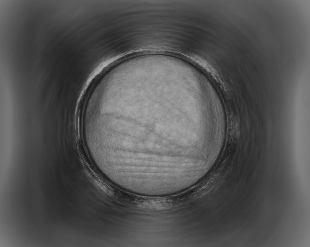 X0000086881078200705071157