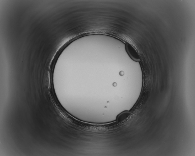 X0000086881079200705071157