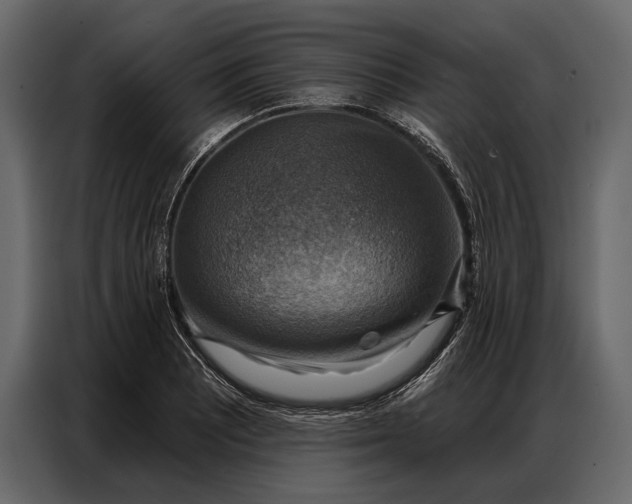 X0000086881081200705071157