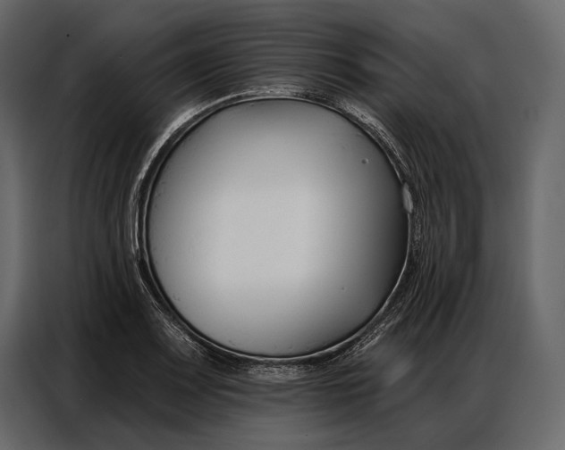 X0000086881083200705071157