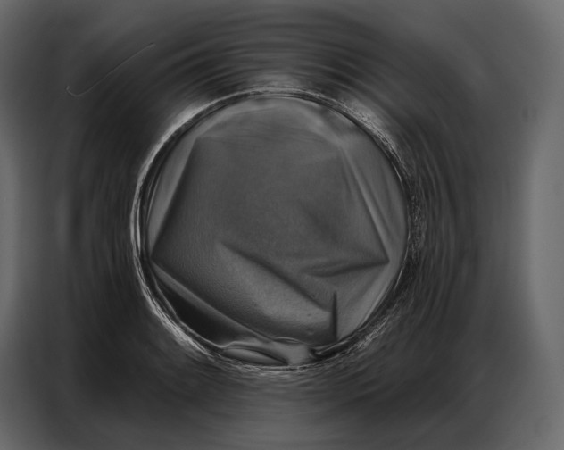 X0000086881084200705071157