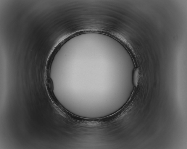 X0000086881085200705071157