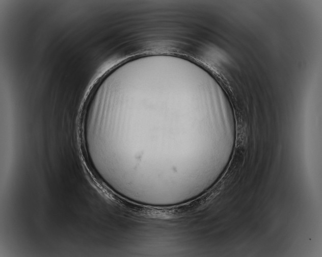 X0000086881086200705071157