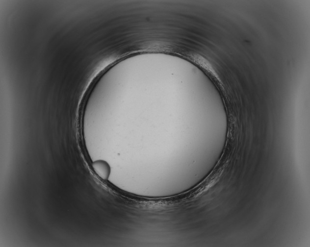 X0000086881087200705071157