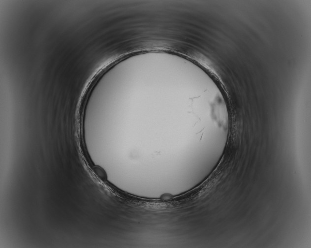 X0000086881088200705071157