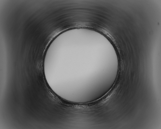 X0000086881089200705071157