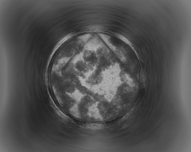 X0000086881090200705071157