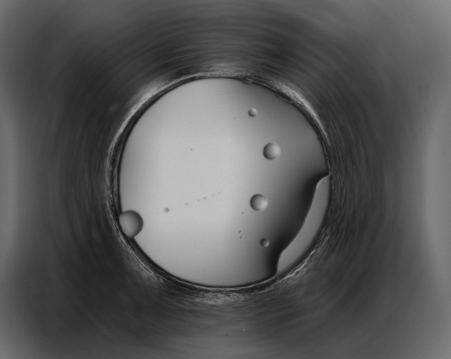 X0000086881091200705071157