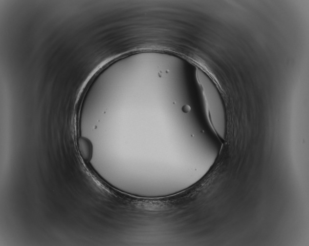 X0000086881092200705071157