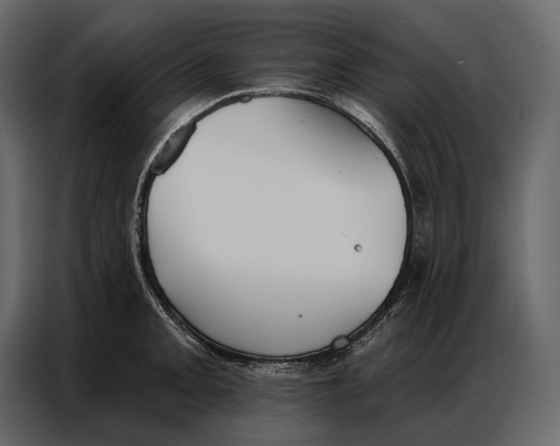 X0000086881093200705071157