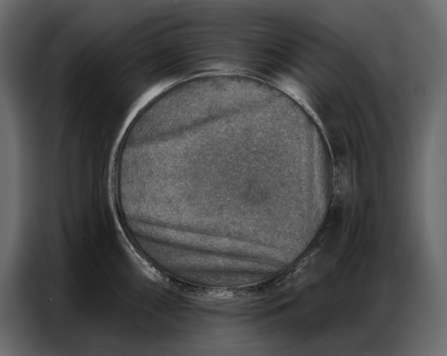 X0000086881098200705071156