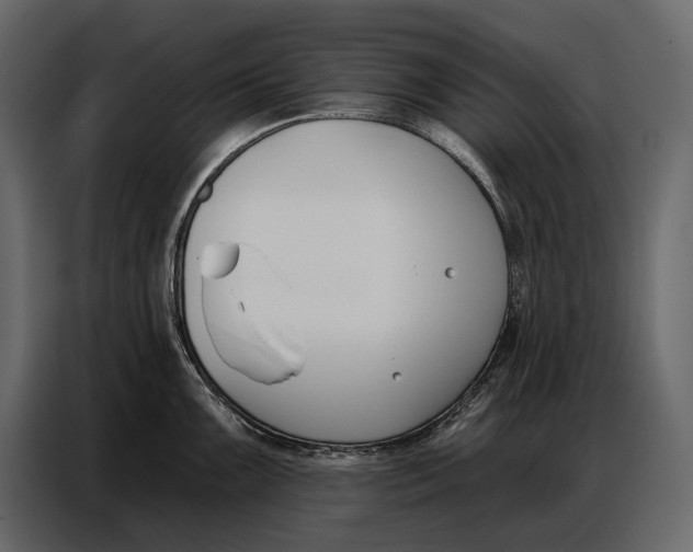 X0000086881099200705071156