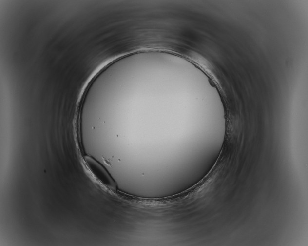 X0000086881100200705071156