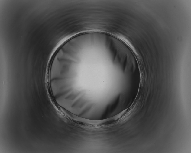 X0000086881101200705071156