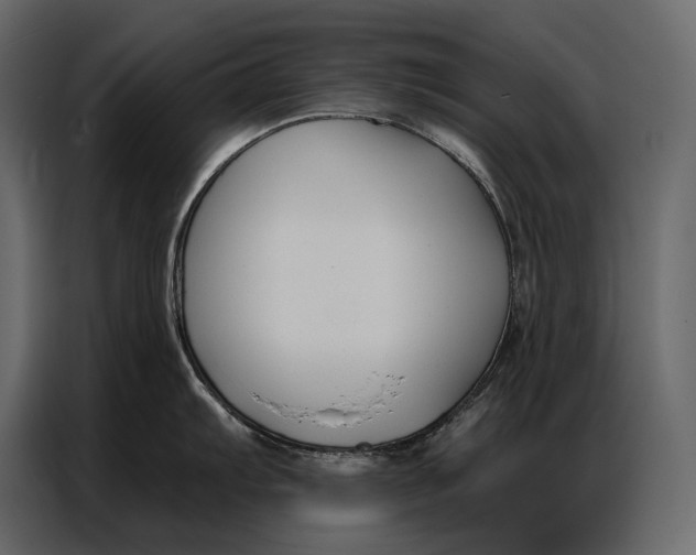 X0000086881103200705071156