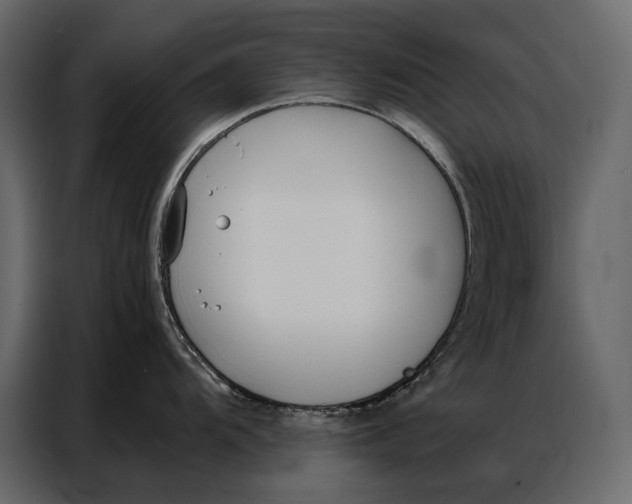 X0000086881104200705071156