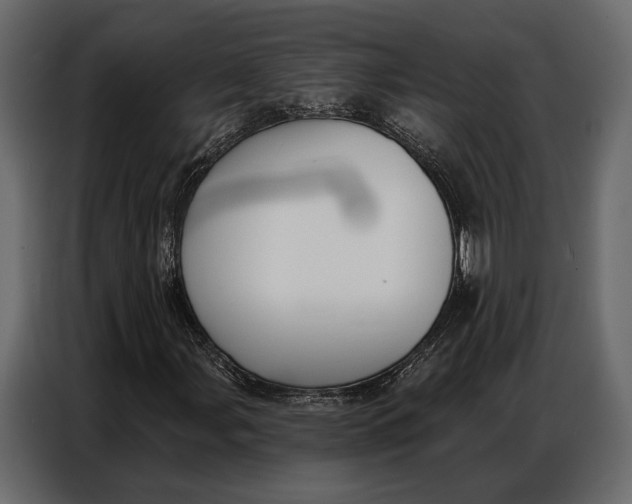 X0000086881107200705071156