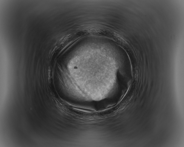 X0000086881108200705071156