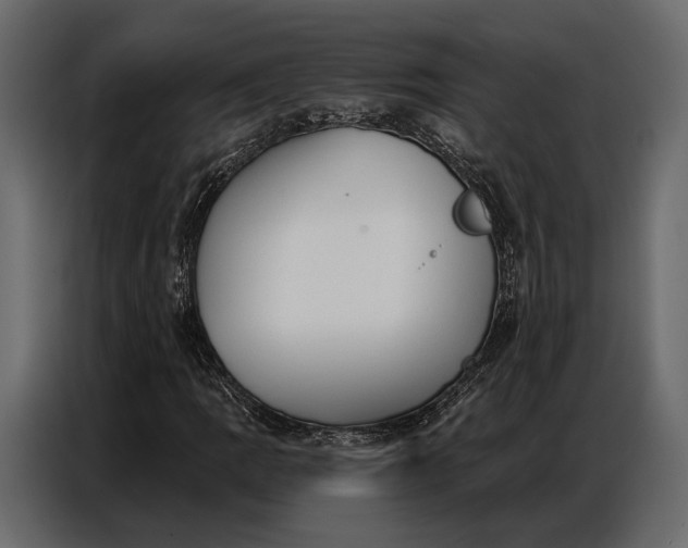 X0000086881109200705071156