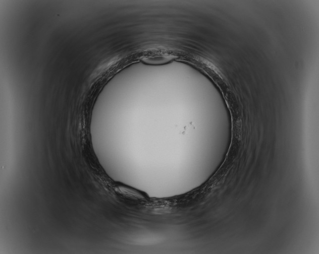 X0000086881111200705071156