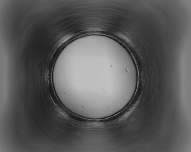 X0000086881113200705071156