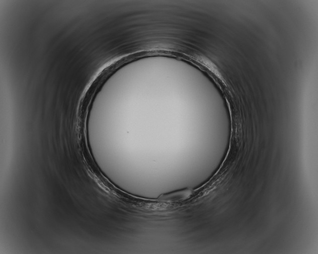 X0000086881116200705071156