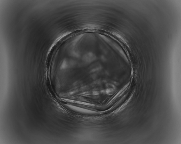 X0000086881117200705071156