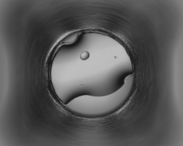 X0000086881118200705071156