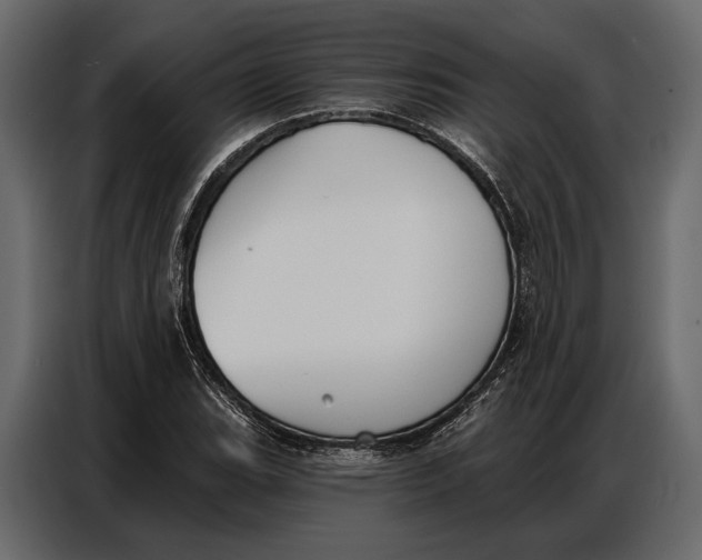 X0000086881119200705071156