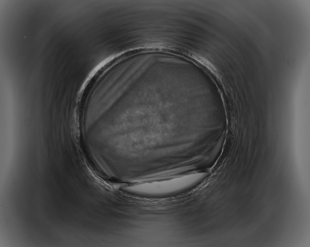 X0000086881120200705071156