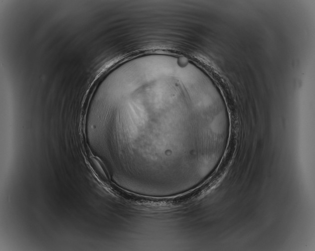 X0000086881121200705071156