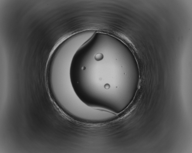 X0000086881122200705071156