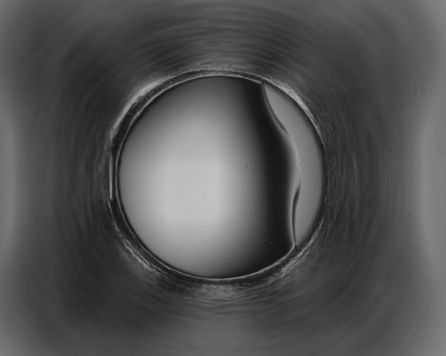 X0000086881123200705071156