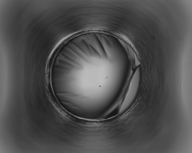 X0000086881124200705071156