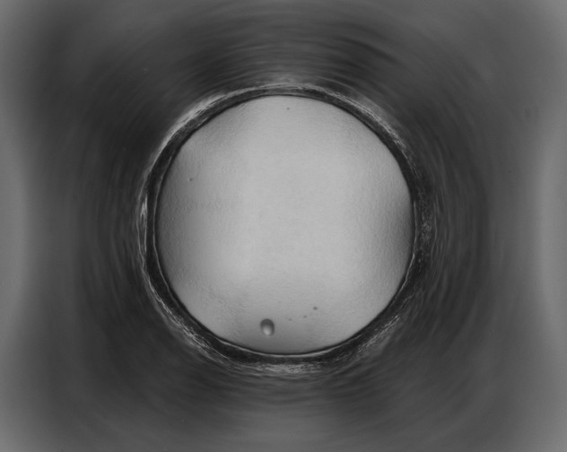 X0000086881126200705071156