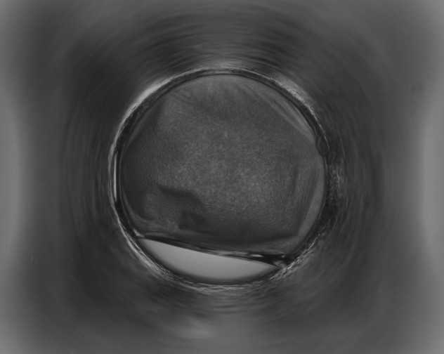 X0000086881127200705071156