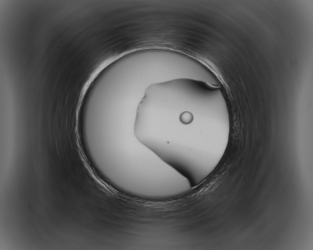 X0000086881128200705071156