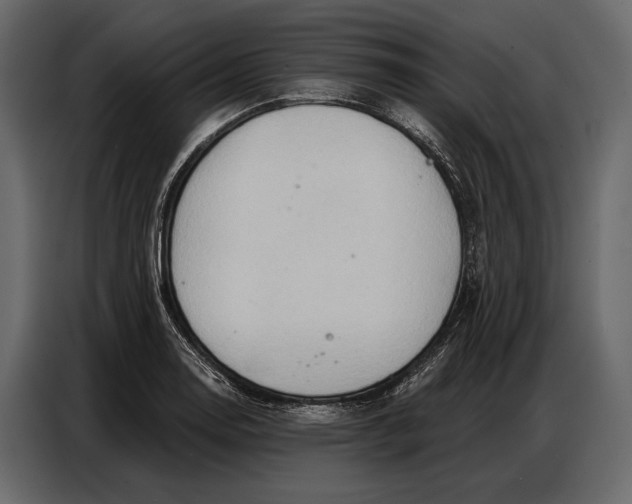 X0000086881130200705071156